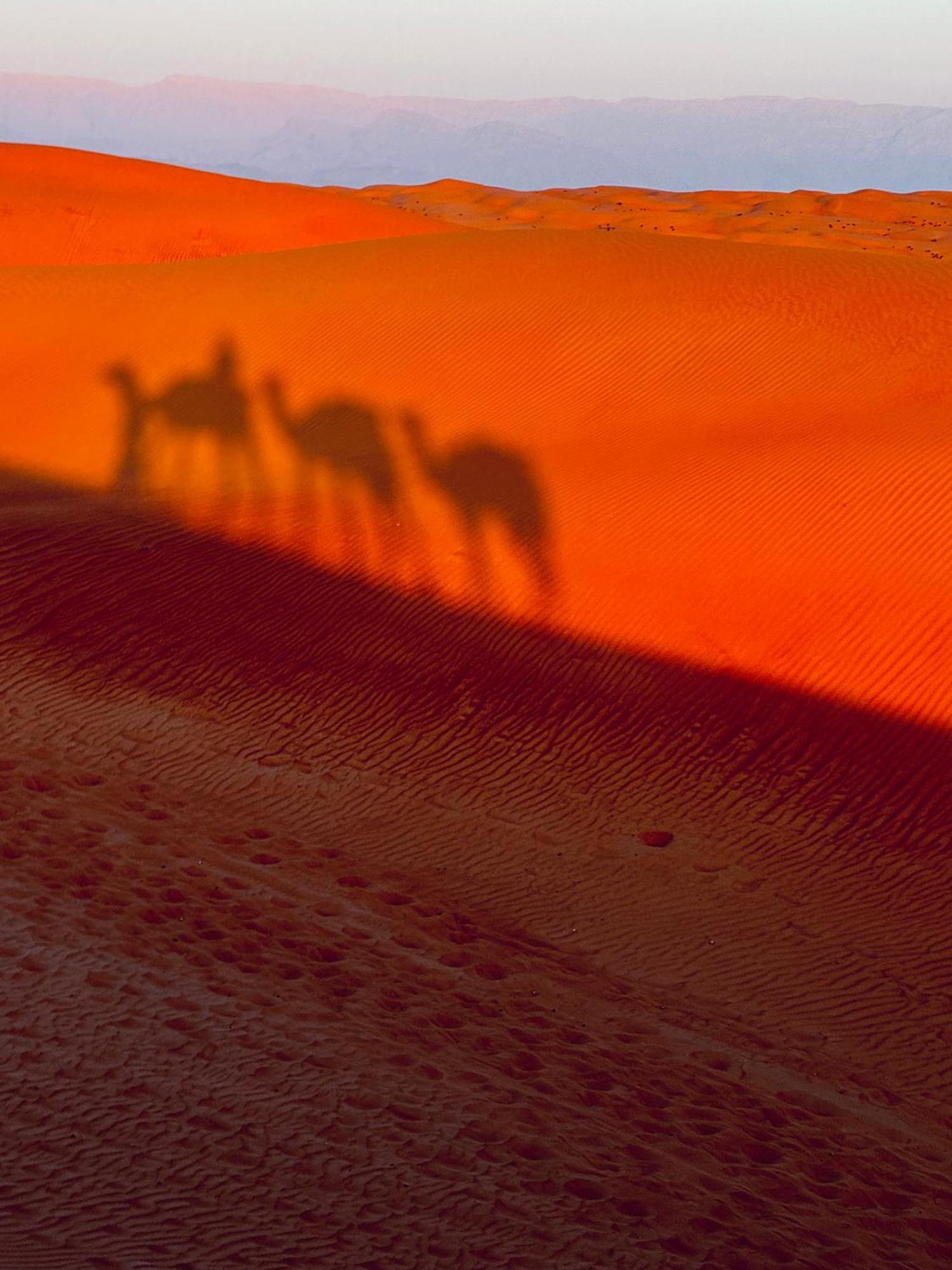 Alsarmadi Desert Camp Shahiq Exterior photo